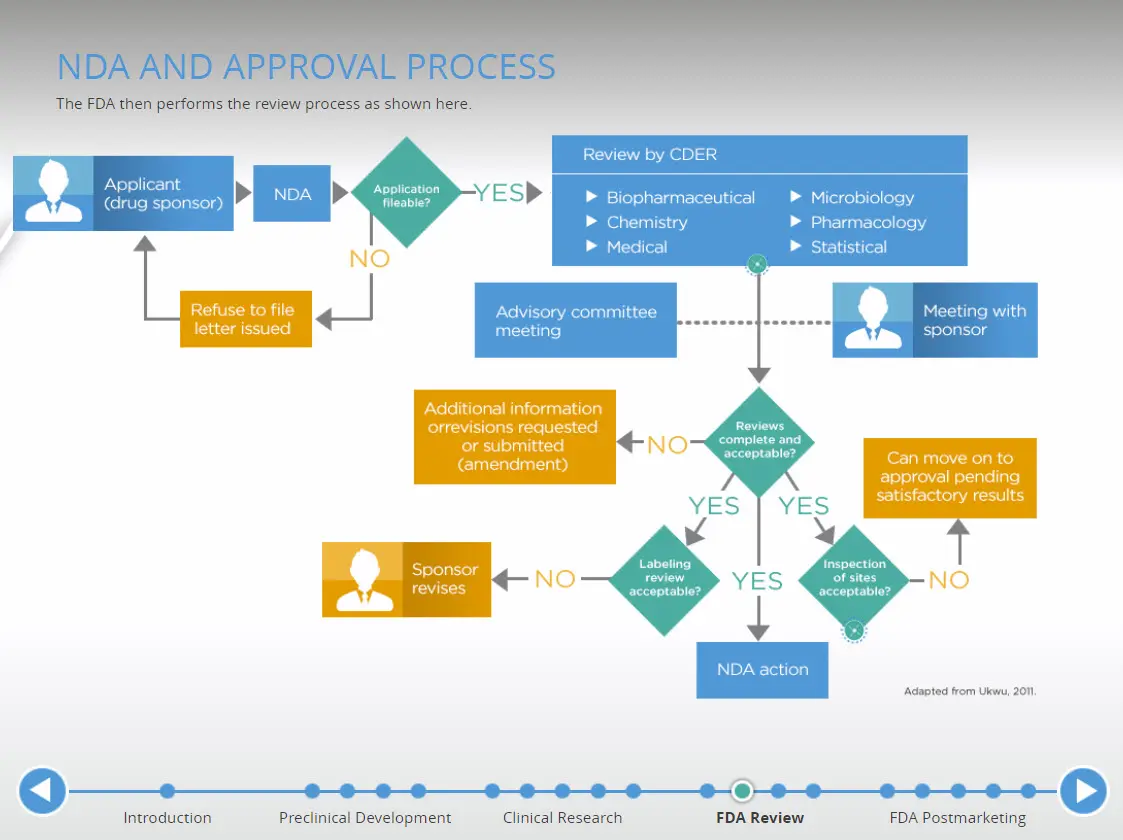 FDA NDA Approval Process Interactive Infographic Example