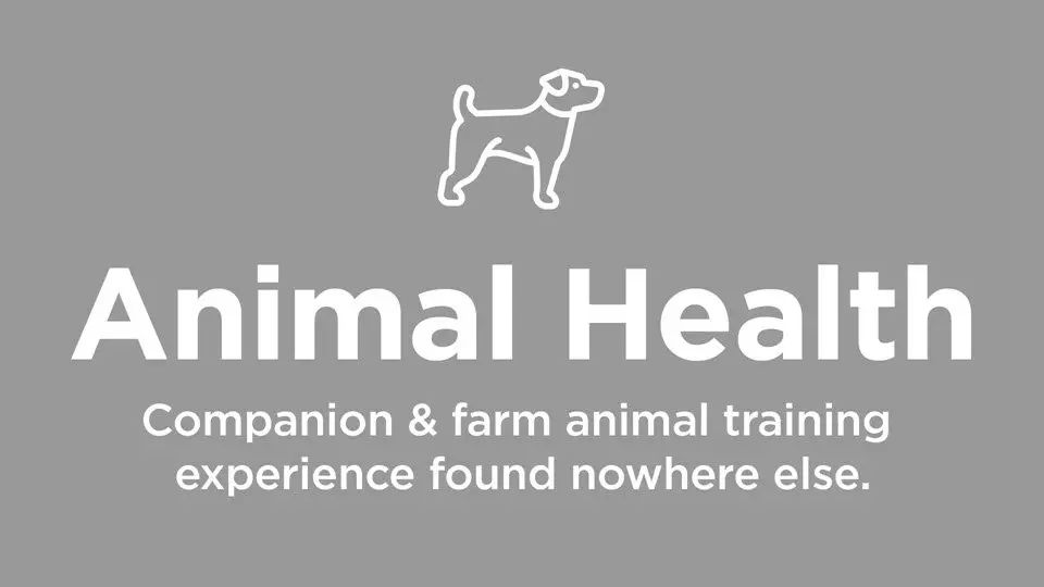Animal / Companion Animal Training Experience