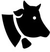 Cattle & Dairy Animal Health