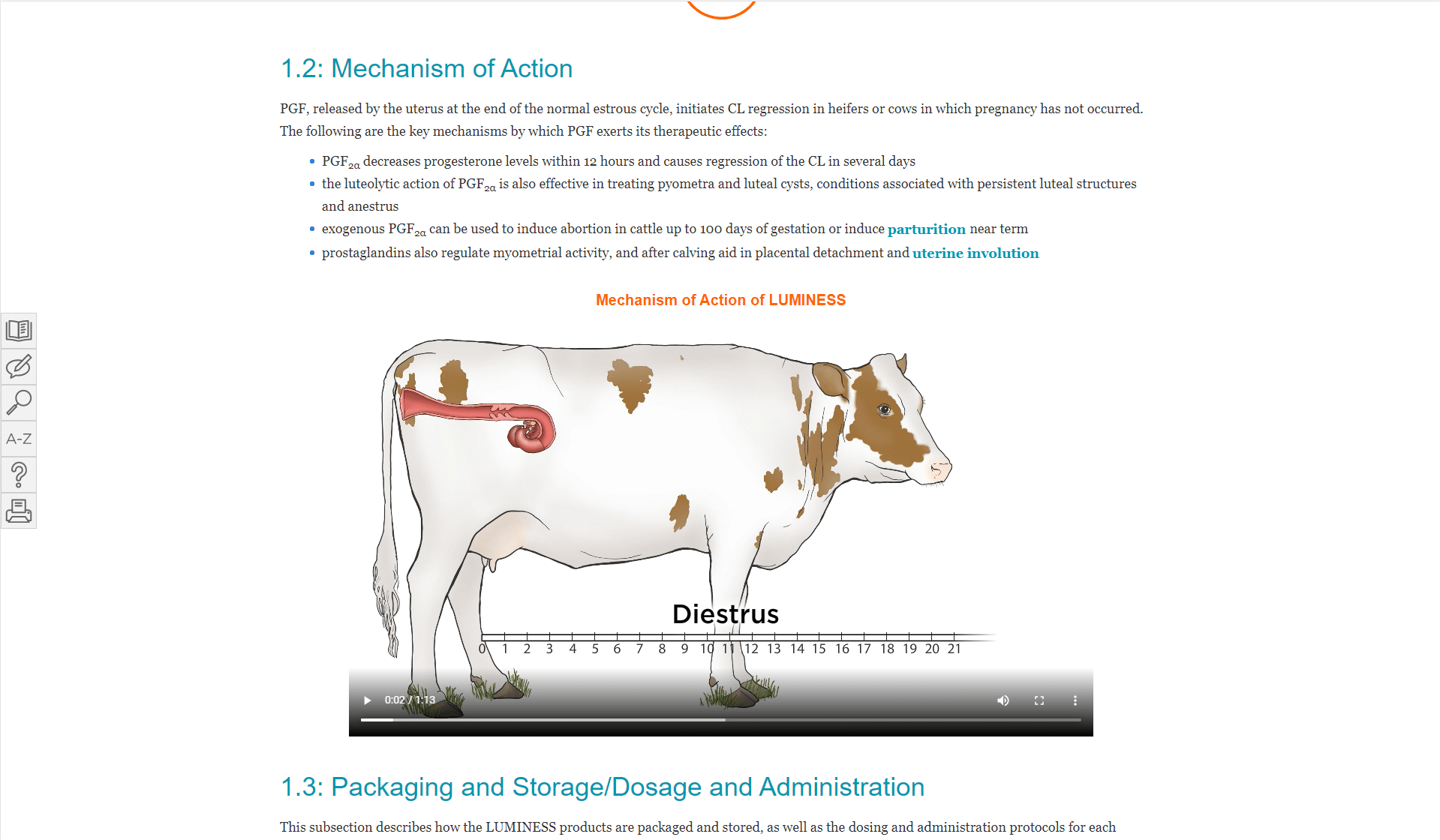 Beef & Dairy Cattle eLearning Example